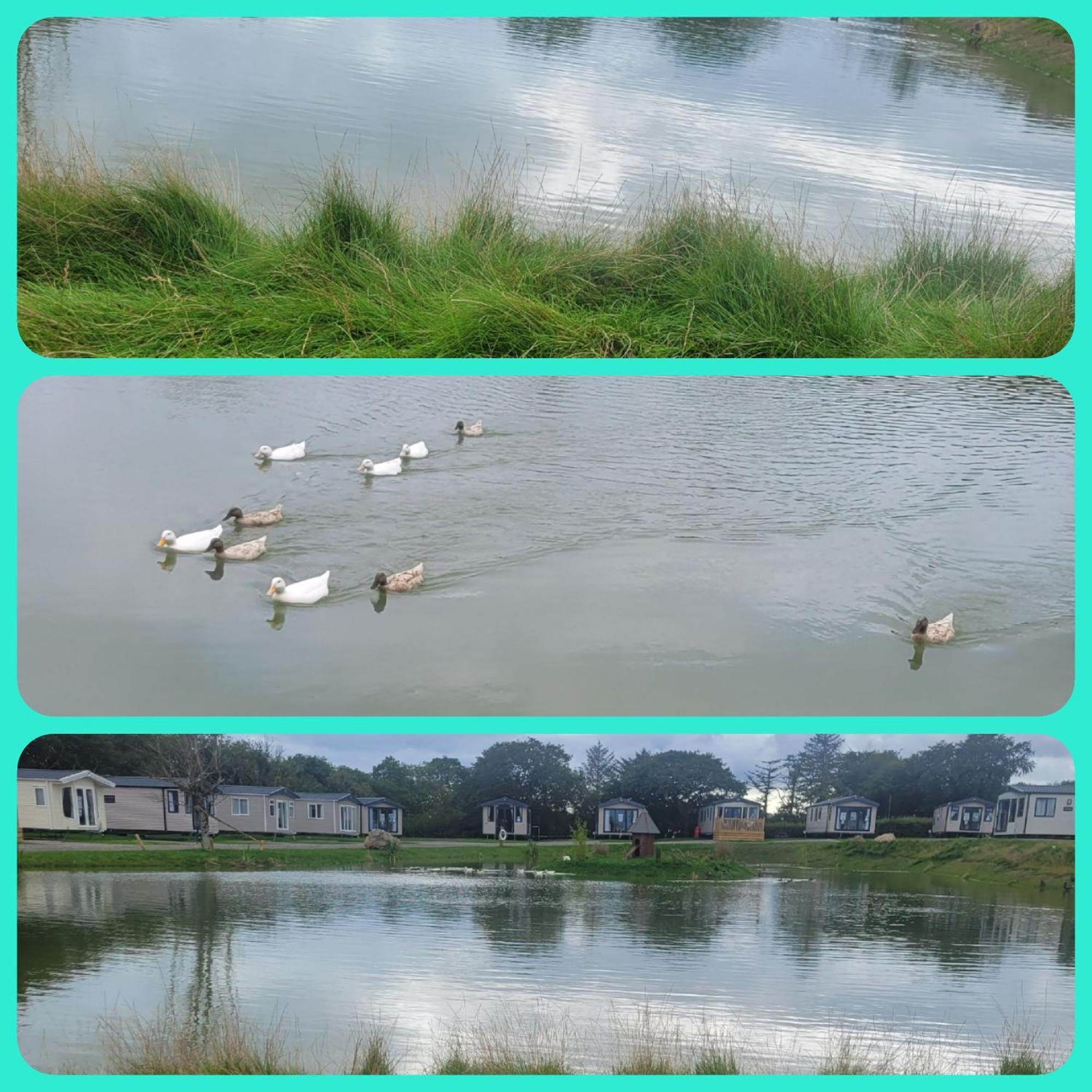 Beautiful 2 Bedroom Caravan, Holiday Park Tenby Saint Florence Ngoại thất bức ảnh